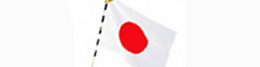 日本から輸出30年以上